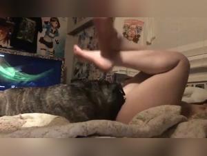 Orgies Bestiales: perros salvajes y deseo no controlado