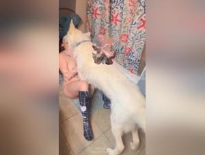 Reveal the most forbidden desires: Hardcore Female-Animal Sex