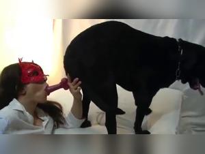 orgies canine sauvages : explorez les désirs les plus fous