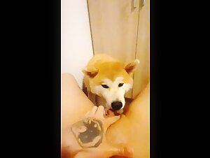 Woman and dog: a beastly encounter