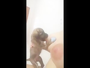 Dog licks a woman's breasts