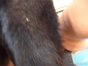 Zoophilia without limits: Raw animal pleasure on film