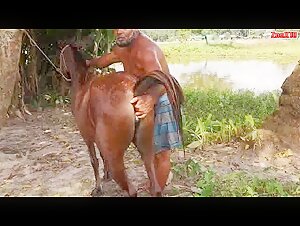 Fist-Fucking and Fucking with a Mare