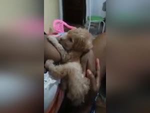 Loving Mistress: Canine Nursing for a Tiny Furball