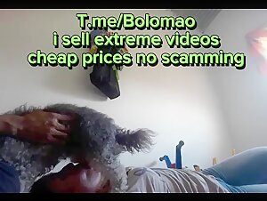 Chien soumis à la domination de sa maîtresse