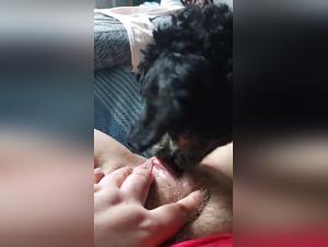 danses infernales avec chien,  bestialité assumée