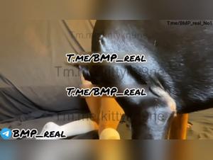 Brute Zoophilia: Kittykn9ne 2, a Girl at the Mercy of Her Dog