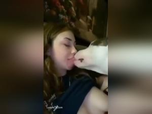 Liberta bestiale: orge canine e impulsi esacerbati