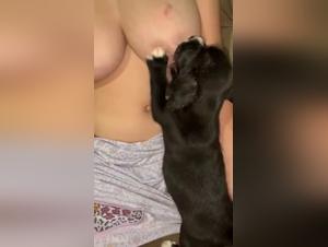 Lattazione selvaggia: desidera il bestiame