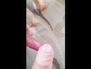Me and my dog, you should see how she spreads her legs for me.
