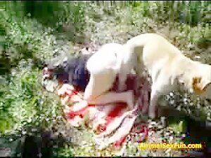 Donna sottomessa a un cane nella foresta