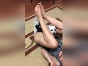 Bestialer Freude: Leidenschaft Hunde ohne Grenzen