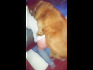 AMZMVSTAR 04: An unexpected meeting with a four-legged friend