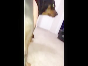 Latin Teen With Pubic Hair Fucked By Dog