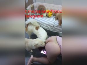 Sexo del grupo de perros asiatico: el abisso de la perversion canina