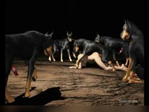 Brutal Unveilings: Zoofilia Wild Amateur