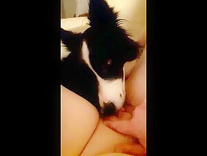 Naughty women with a dog