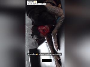 Brutal Zoophilia: Canine Domination