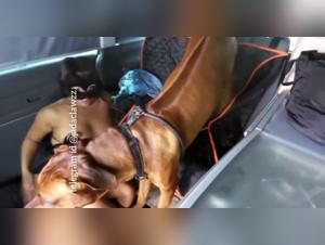 Hot pup in the ride: Nana gets wild with her doggy