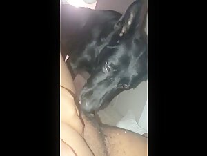 Frecher Hund bietet Leckereien an 2