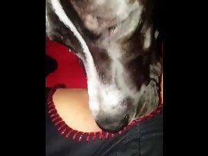 Submissive woman and animals