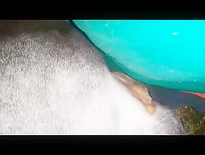 Woman and her dog: a story of bestiality
