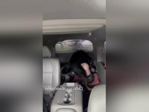 Desiderio animale: scene indecenti di donne e cani