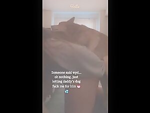 Chica adolescente follada por el perro de papa