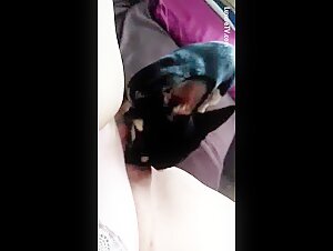 Dog Expert in Cunnilingus