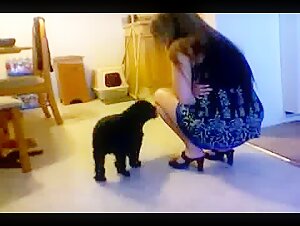 Mujer madura y perro: un encuentro bestial