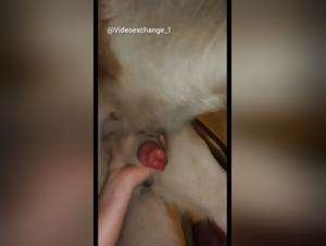 Puppy play gone wild at 18