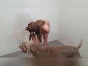 Gif Bestiality: Dog Eats Slut Mercilessly