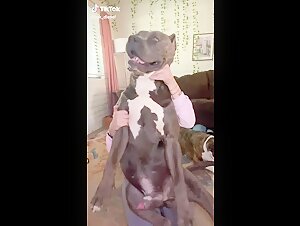 Zoo Dog: A Story of Exciting Bestiality
