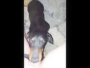 Amateurhund 31: Intime Momente mit dem besten Freund des Menschen