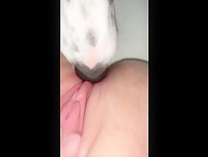 Donna e cane: un incontro proibito