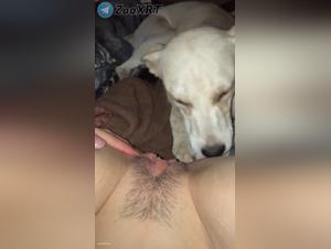 Ptite fucking lick her fiery dog
