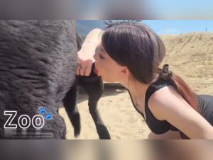 Untamed She-Dog, Zoo, and Forbidden Pleasure: Torrid Canine Kisses Outdoors with a Young Thing.