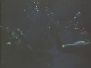 Brutal Bear: Bangs Vixen in Animal Sex Festival