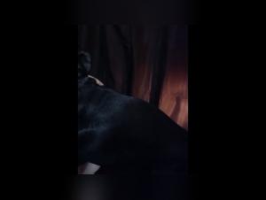 Lise Bound and Teased by a Beast in a BDSM Adventure