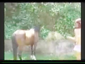 Patricia Paola: Un'esperienza proibita con un cavallo