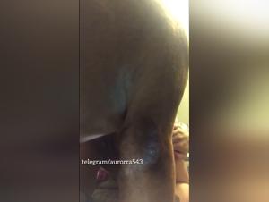 Wild zoophilia: Uncontrollable animal pleasure