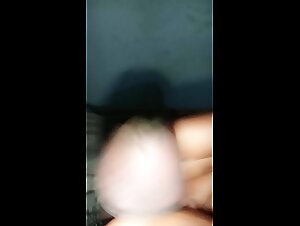 Gran perra negra siendo embestida por un doberman