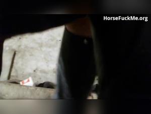 Debauchery equino: MILF explota con placer con los ponis