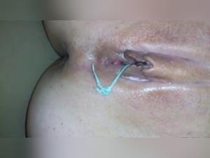 Bestial Fairy: Forbidden Delights