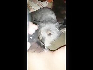 Hund und Frau: eine tierische Begegnung