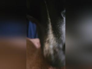 REXAZIONE ANITALITA: piaceri febbrili